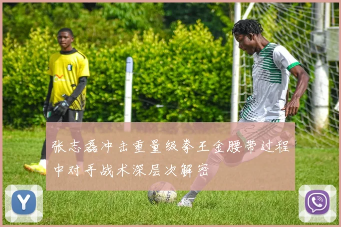 张志磊冲击重量级拳王金腰带过程中对手战术深层次解密