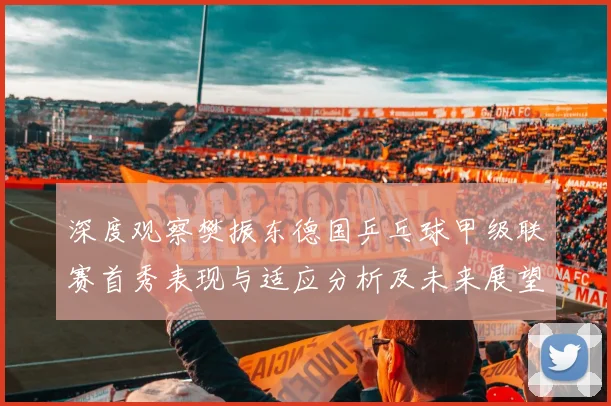 深度观察樊振东德国乒乓球甲级联赛首秀表现与适应分析及未来展望