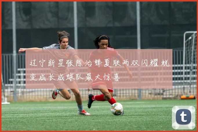 辽宁新星张陈治锋夏联两双闪耀 蜕变成长成球队最大惊喜